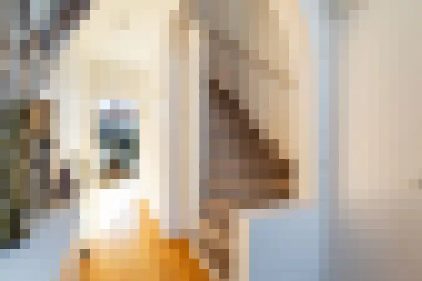 Molenstraat 141 Monster thumbnail 8