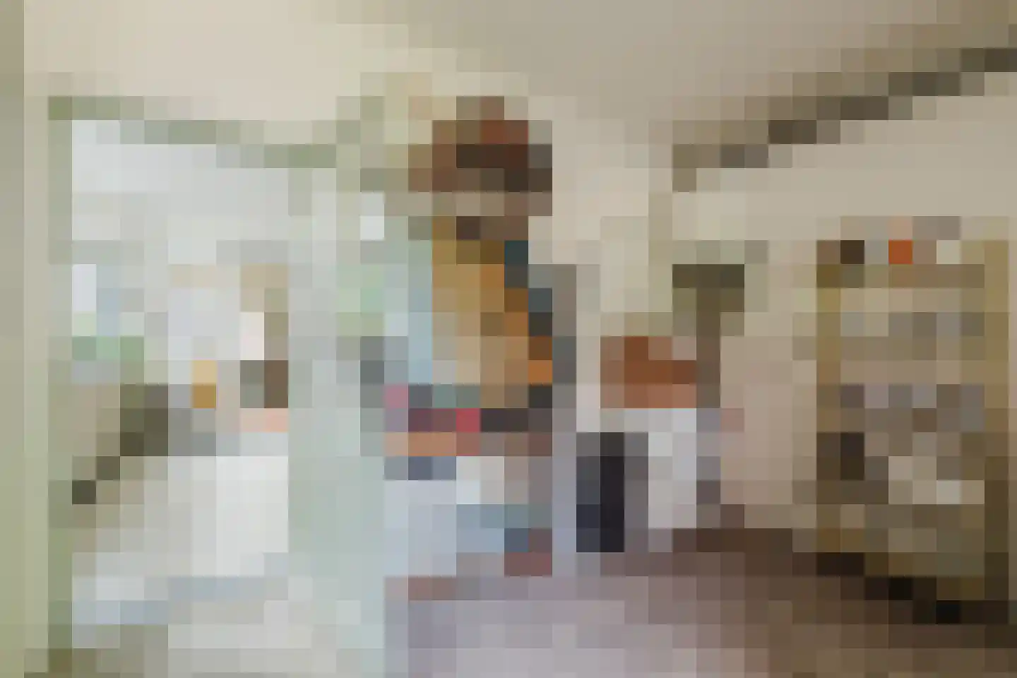 Molenstraat 142 Zundert thumbnail 21