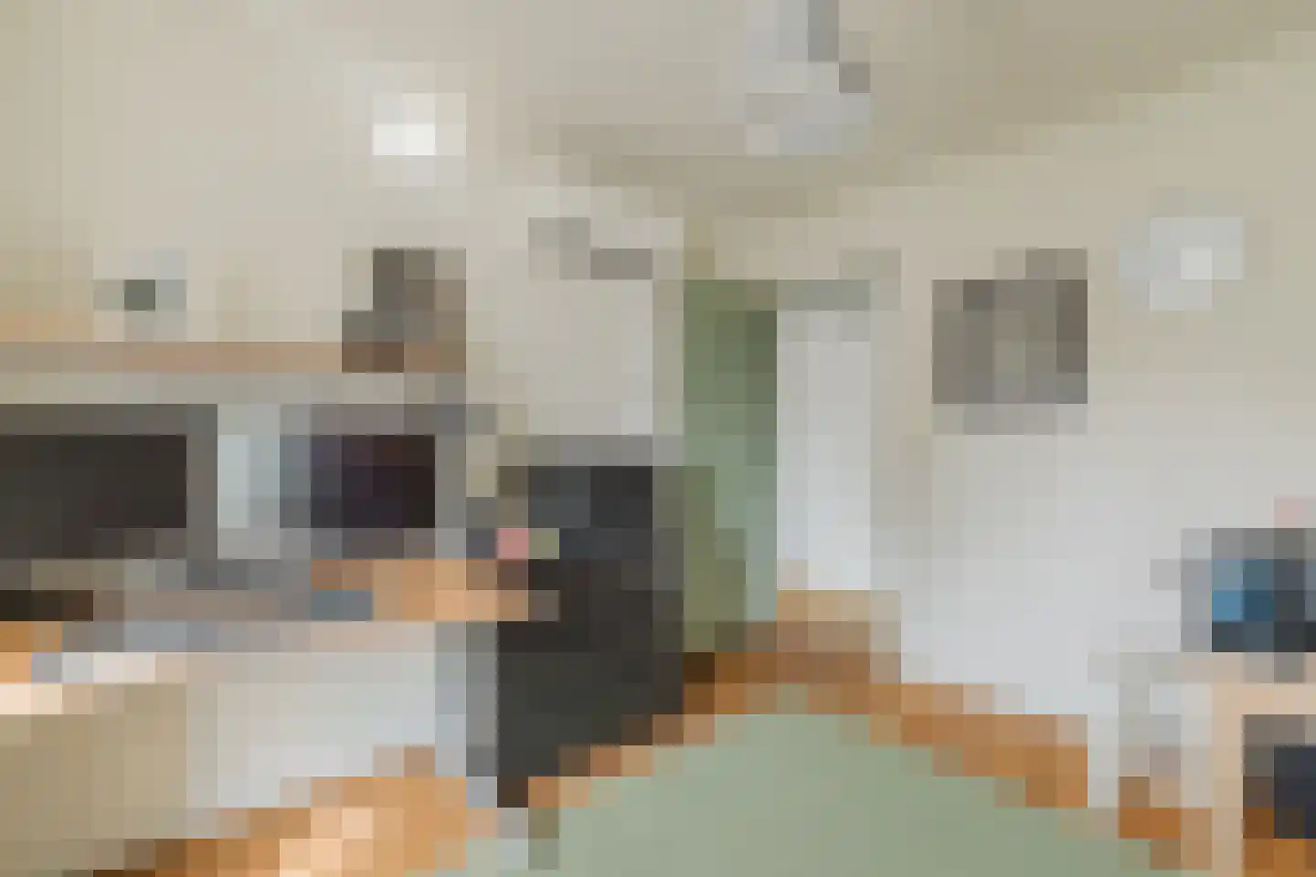Molenstraat 142 Zundert thumbnail 32