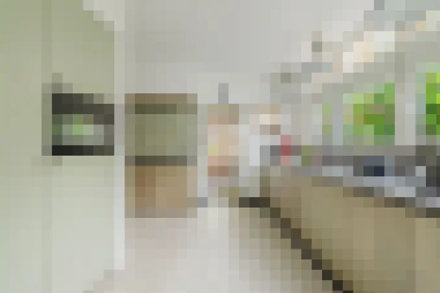 Molenstraat 142 Zundert thumbnail 4
