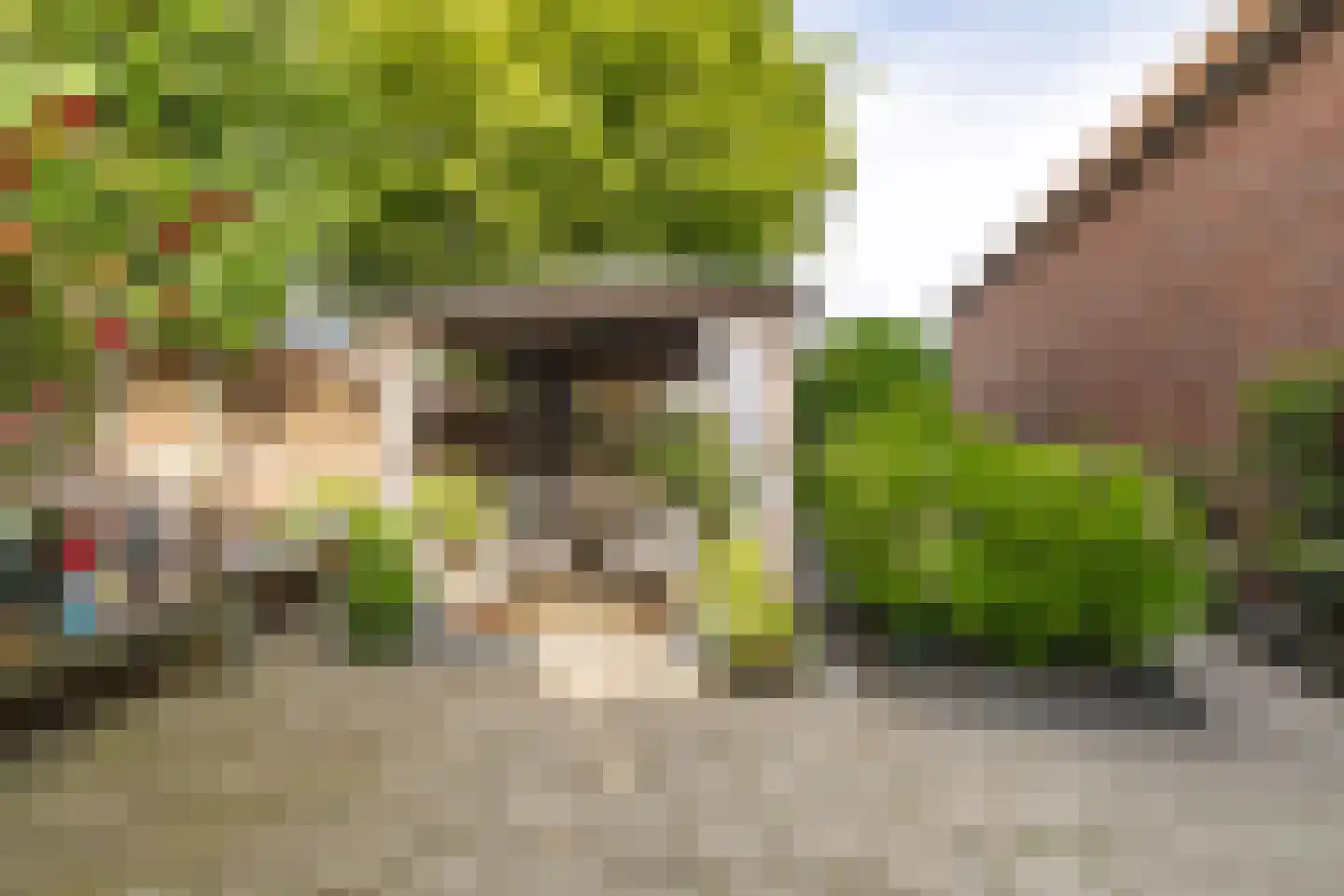 Molenstraat 142 Zundert thumbnail 43