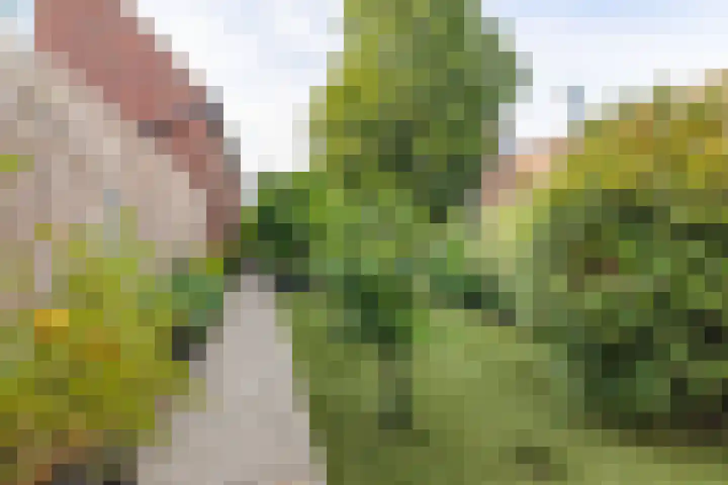 Molenstraat 142 Zundert thumbnail 47