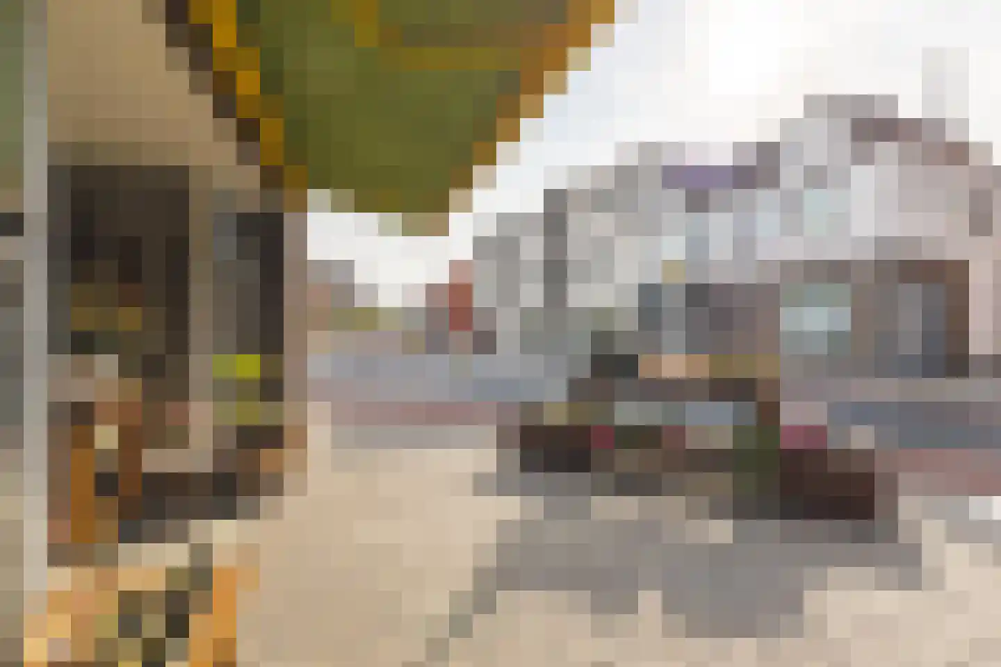 Molenstraat 142 Zundert thumbnail 8