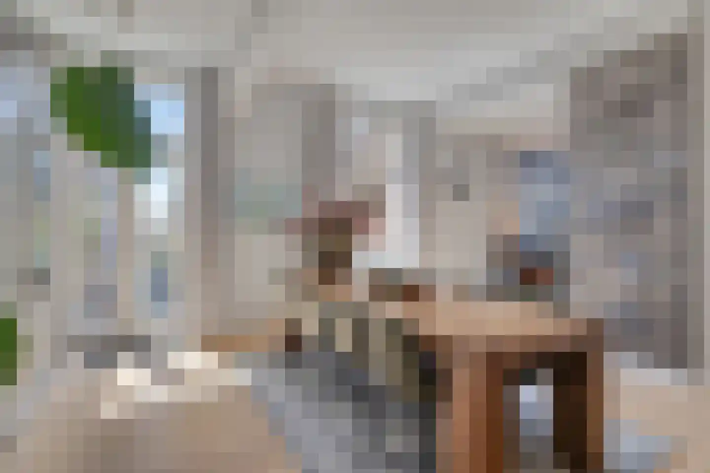 Molenstraat 15 b Zundert thumbnail 20