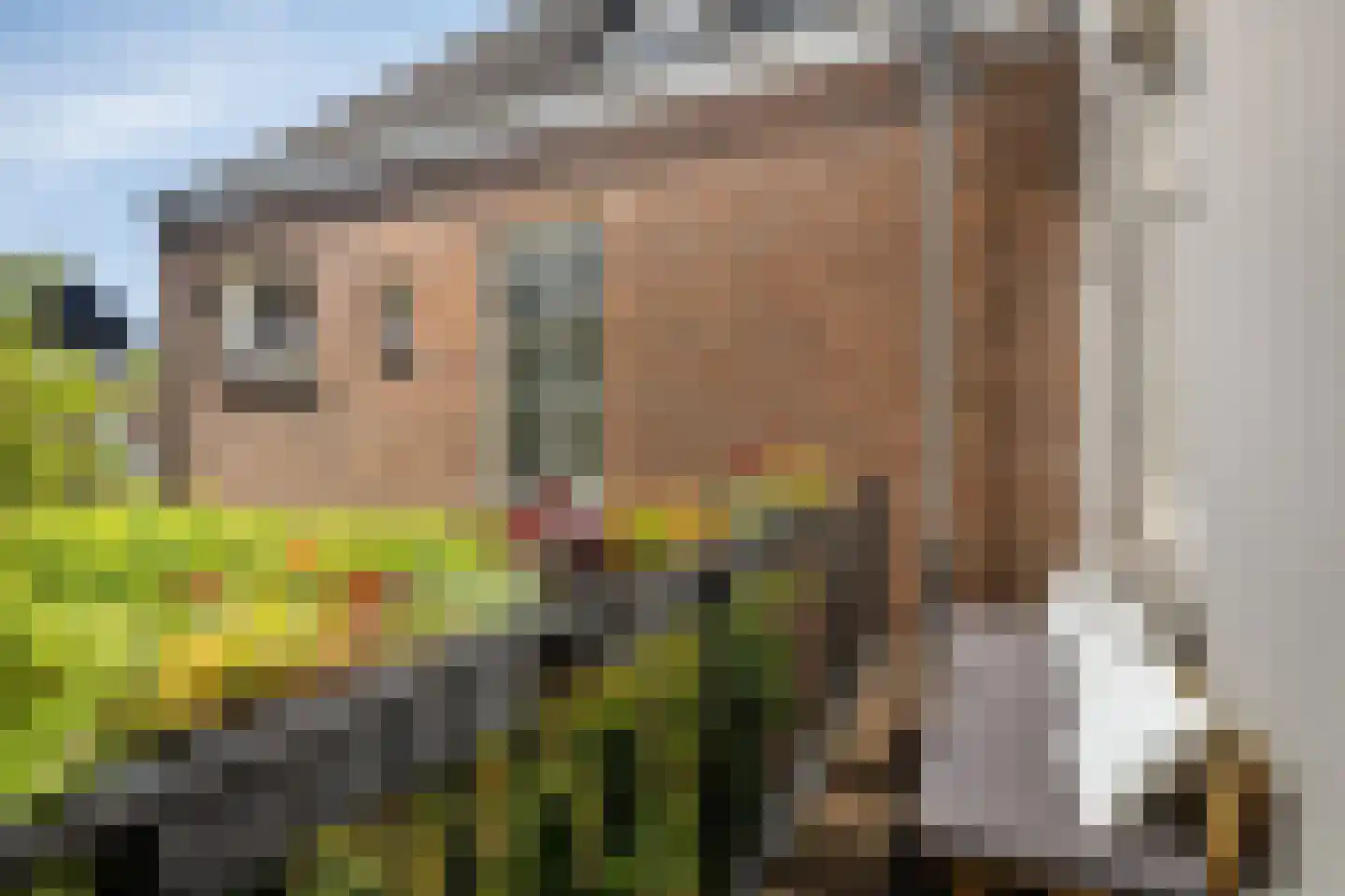 Molenstraat 15 b Zundert thumbnail 24