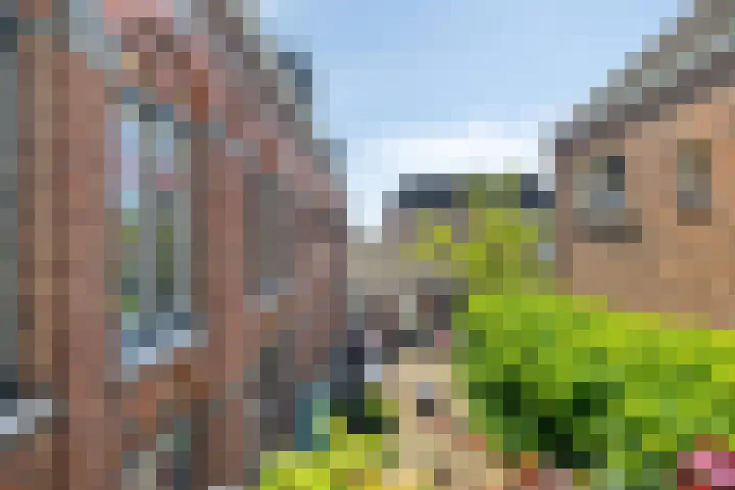 Molenstraat 15 b Zundert thumbnail 25