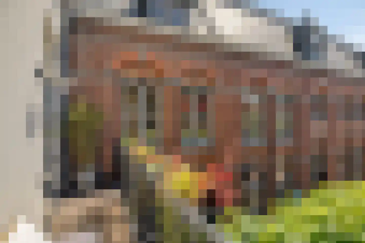 Molenstraat 15 b Zundert thumbnail 26