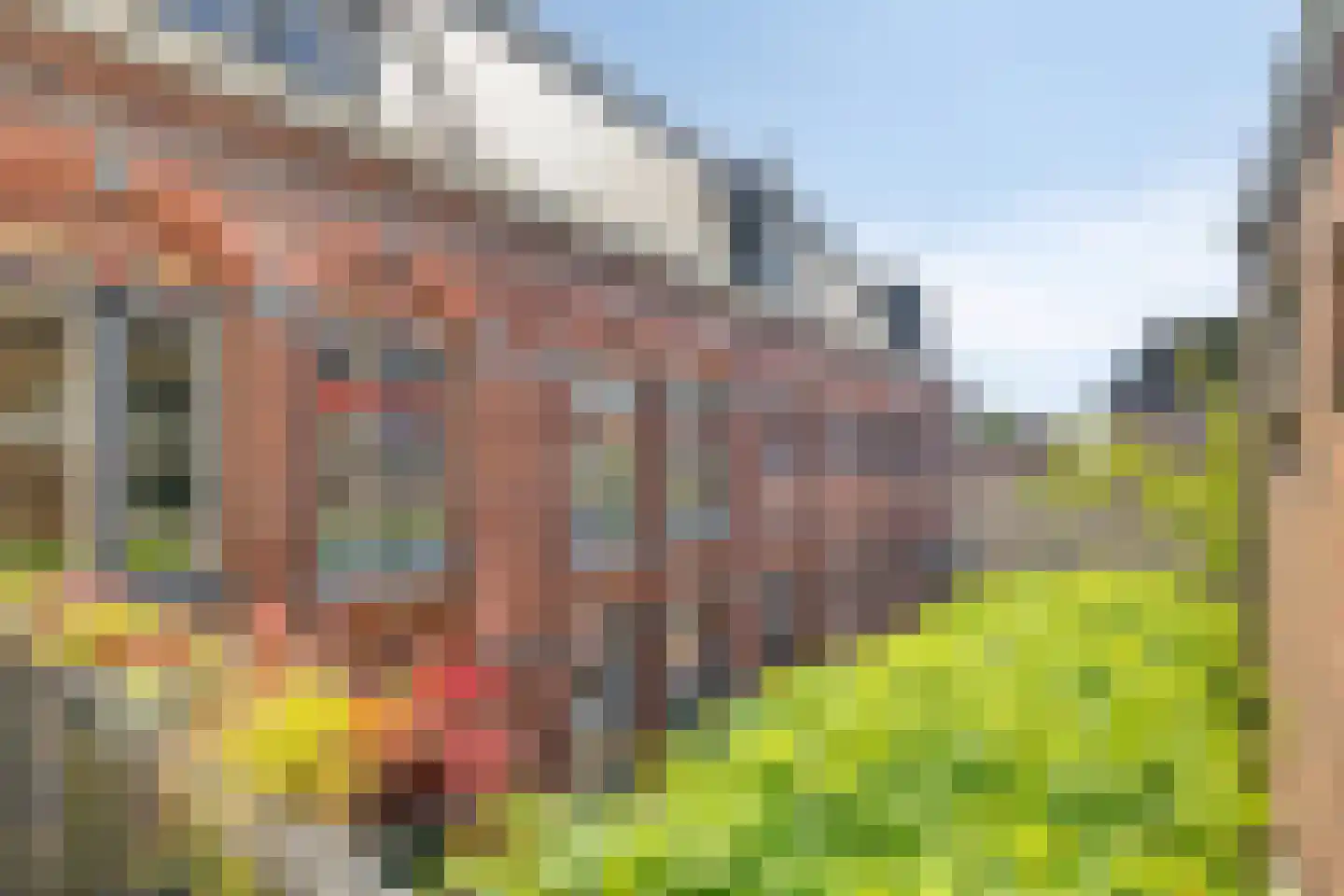 Molenstraat 15 b Zundert thumbnail 27