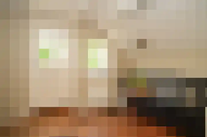 Molenstraat 15 Bruchem thumbnail 11