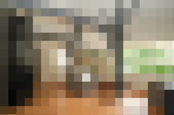 Molenstraat 15 Bruchem thumbnail 13