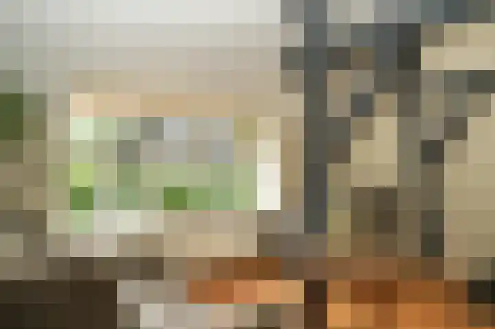 Molenstraat 15 Bruchem thumbnail 17