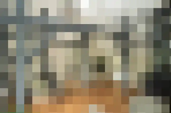 Molenstraat 15 Bruchem thumbnail 18