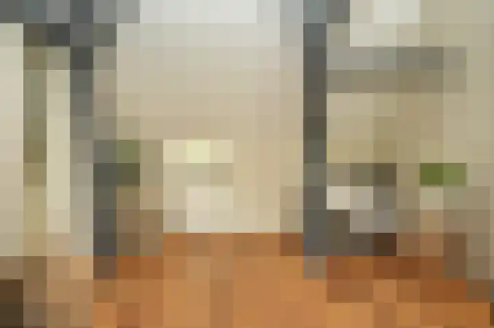 Molenstraat 15 Bruchem thumbnail 20