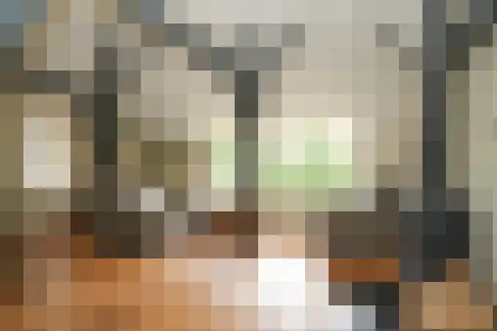 Molenstraat 15 Bruchem thumbnail 22