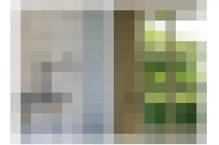 Molenstraat 15 Bruchem thumbnail 31
