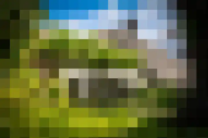 Molenstraat 15 Bruchem thumbnail 33