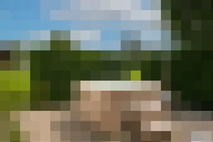Molenstraat 15 Bruchem thumbnail 37