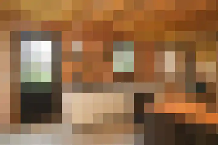 Molenstraat 15 Bruchem thumbnail 46