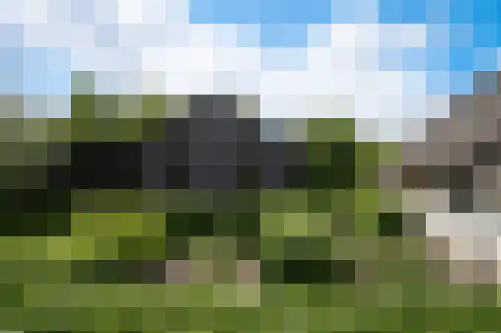 Molenstraat 15 Bruchem thumbnail 6