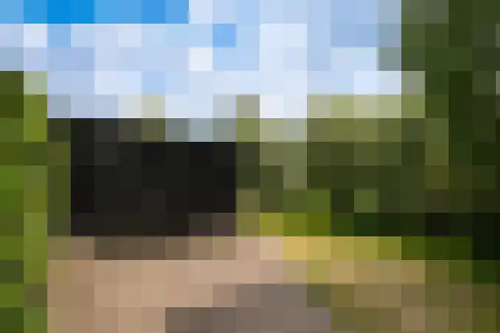 Molenstraat 15 Bruchem thumbnail 64