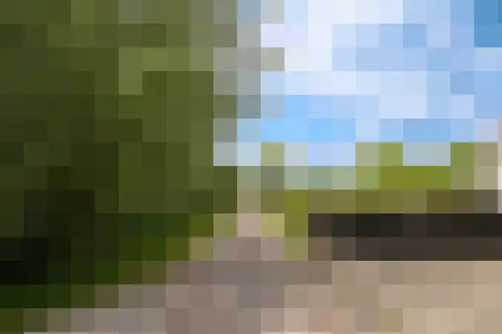 Molenstraat 15 Bruchem thumbnail 65