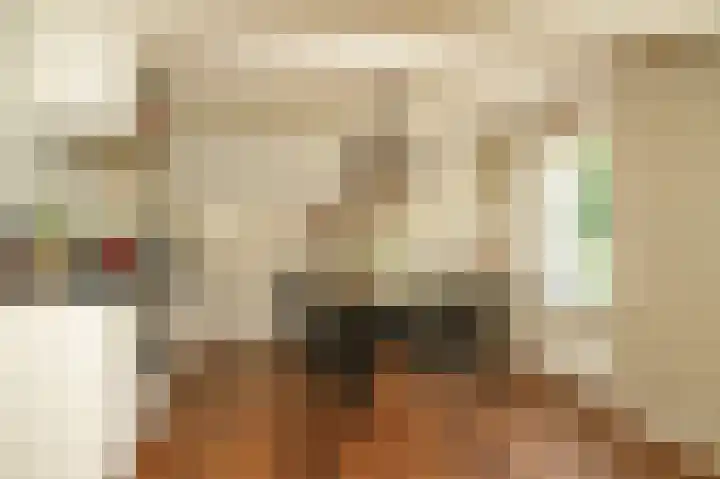 Molenstraat 15 Bruchem thumbnail 8