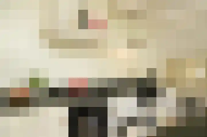 Molenstraat 15 Bruchem thumbnail 9