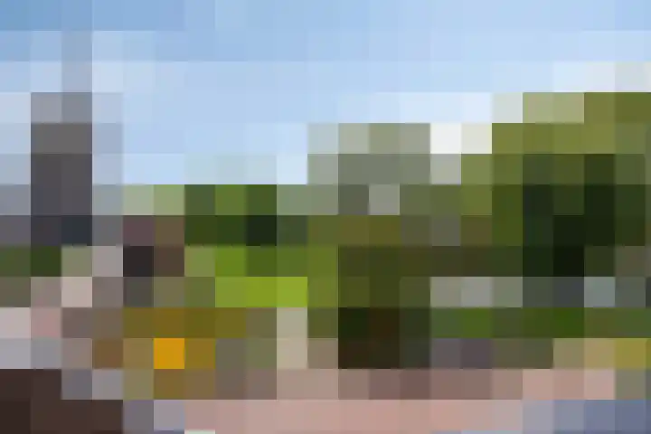 Molenstraat 15 IJsselstein thumbnail 22