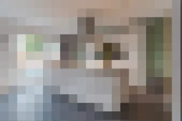 Molenstraat 15 Luyksgestel thumbnail 18
