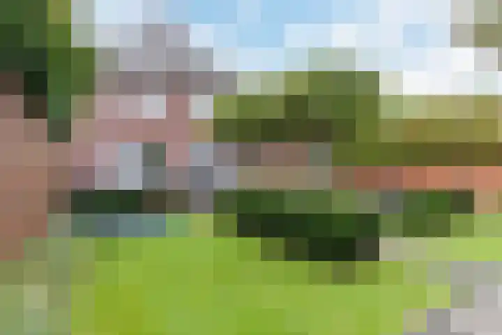Molenstraat 15 Luyksgestel thumbnail 43