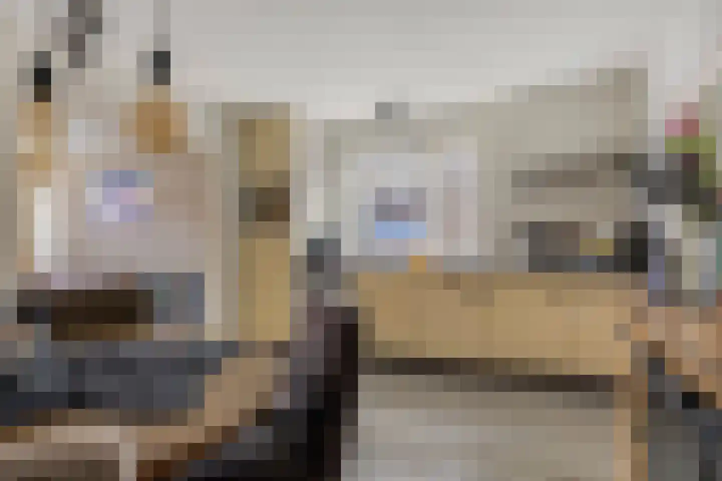 Molenstraat 15 Made thumbnail 9