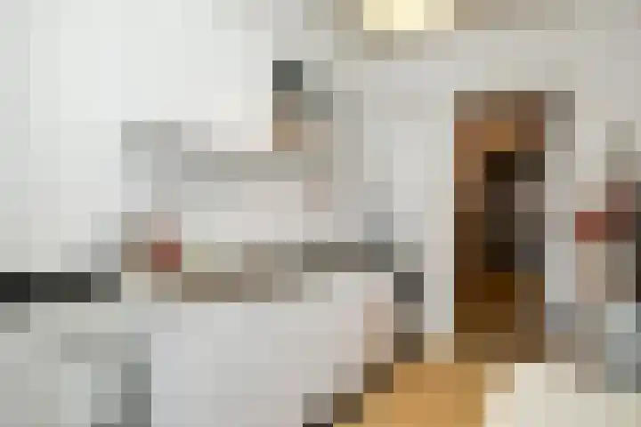 Molenstraat 15 's-Hertogenbosch thumbnail 13