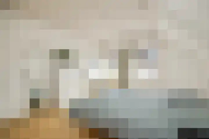 Molenstraat 15 's-Hertogenbosch thumbnail 25