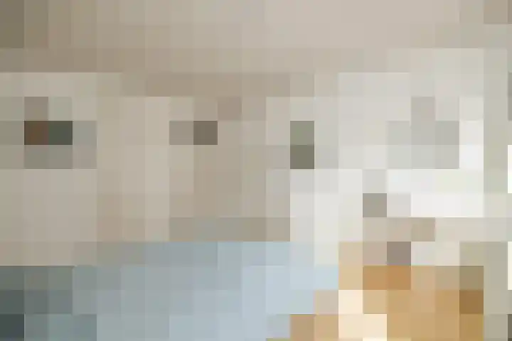Molenstraat 15 's-Hertogenbosch thumbnail 26