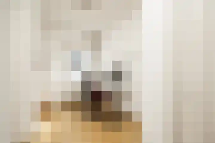 Molenstraat 15 's-Hertogenbosch thumbnail 28