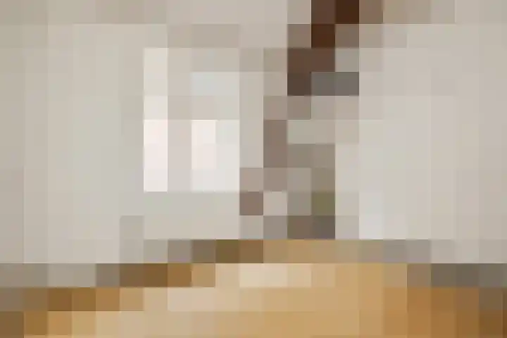 Molenstraat 15 's-Hertogenbosch thumbnail 29