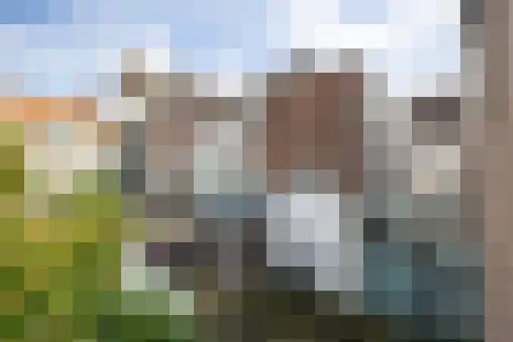 Molenstraat 15 's-Hertogenbosch thumbnail 30