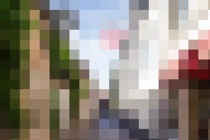 Molenstraat 15 's-Hertogenbosch thumbnail 31