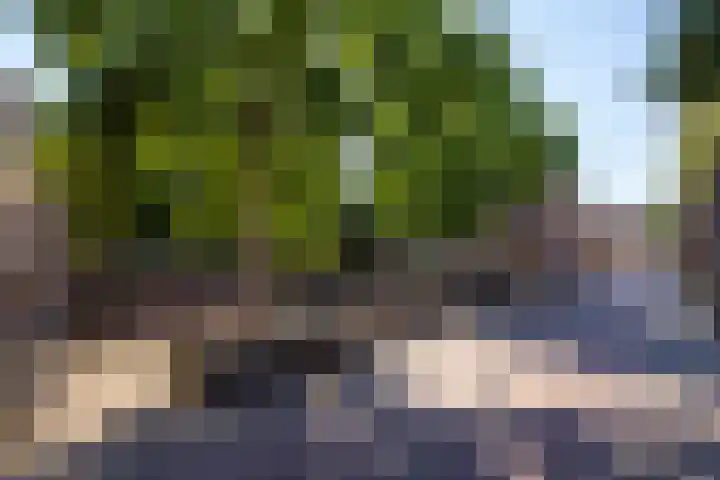 Molenstraat 15 's-Hertogenbosch thumbnail 32