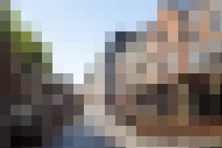 Molenstraat 15 's-Hertogenbosch thumbnail 33