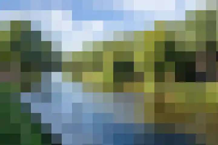 Molenstraat 15 's-Hertogenbosch thumbnail 34