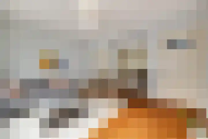Molenstraat 15 's-Hertogenbosch thumbnail 6