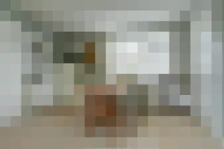 Molenstraat 15 Standdaarbuiten thumbnail 11