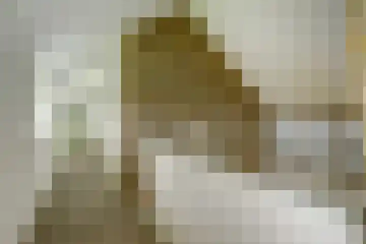 Molenstraat 15 Standdaarbuiten thumbnail 15