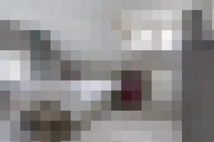 Molenstraat 15 Standdaarbuiten thumbnail 21