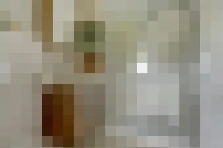 Molenstraat 15 Standdaarbuiten thumbnail 26