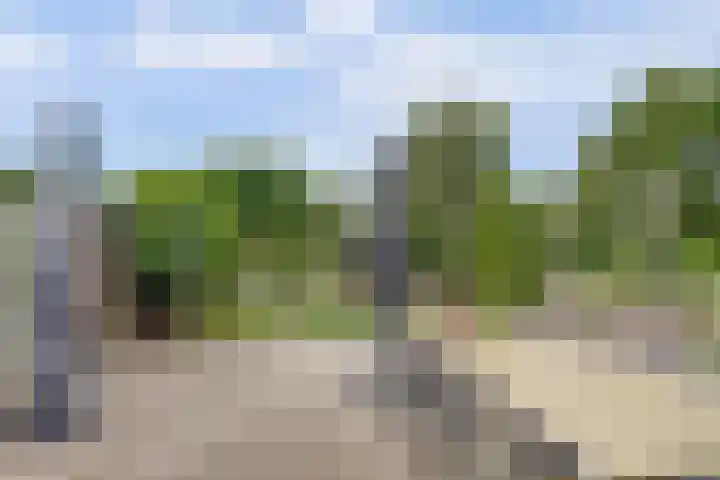 Molenstraat 15 Standdaarbuiten thumbnail 31