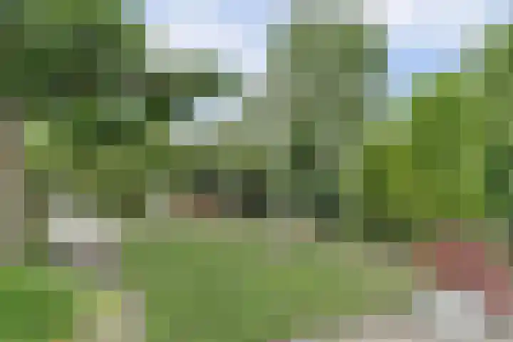Molenstraat 15 Standdaarbuiten thumbnail 32