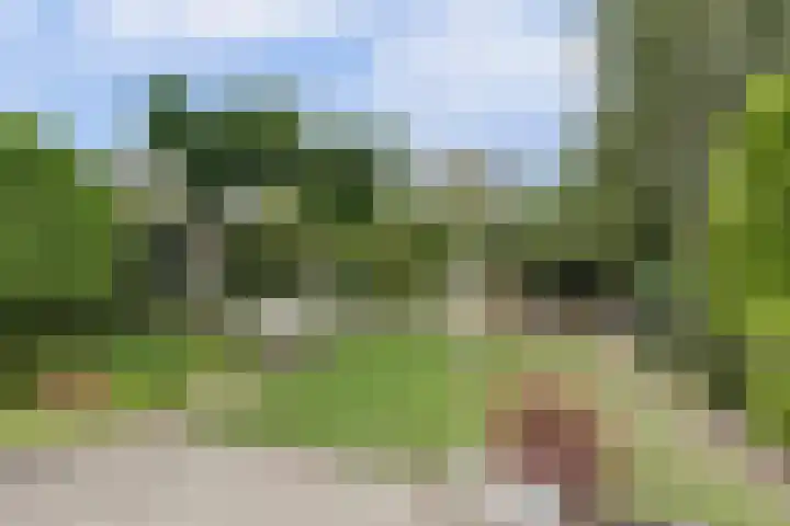 Molenstraat 15 Standdaarbuiten thumbnail 33