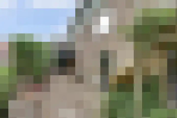 Molenstraat 15 Standdaarbuiten thumbnail 35